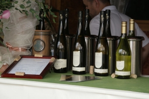 Életképek a 2008-as borfesztiválról (2. rész)