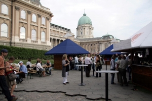 Életképek a 2008-as borfesztiválról (2. rész)