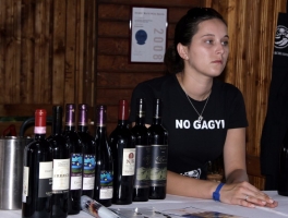 Életképek a 2008-as borfesztiválról (2. rész)