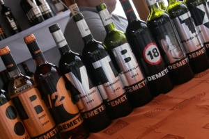 Életképek a 2008-as borfesztiválról (2. rész)