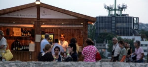 Életképek a 2008-as borfesztiválról (2. rész)