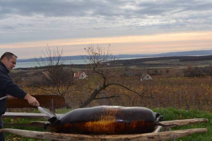 Disznóvágás a Tagyon Birtokon Disznóvágás a Tagyon Birtokon