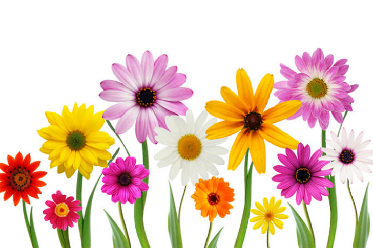 Nőnap a szekszárdi Bodri Pincészetnél Nőnap a szekszárdi Bodri Pincészetnél