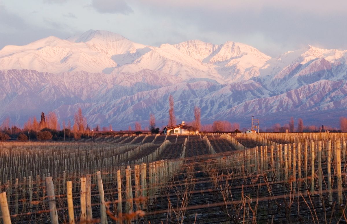 110 éve készítenek bort Argentínában