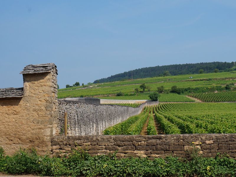 La route des grands crus - a top burgundi borok útja