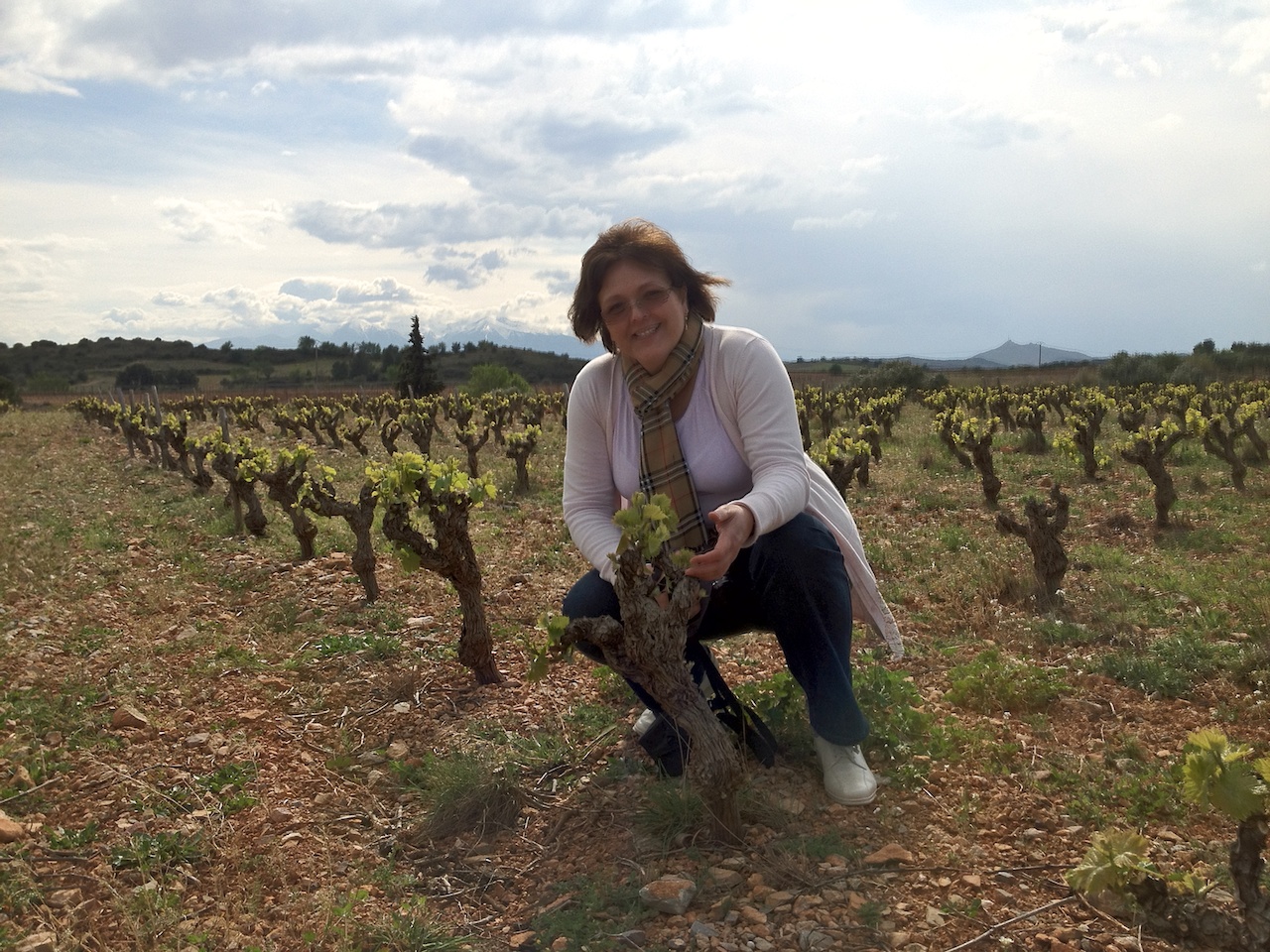 A kadarkának tiszta lap kell